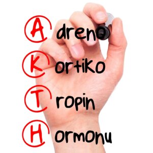 Kortikotropin Hormonu: Özellikleri ve Etkileri