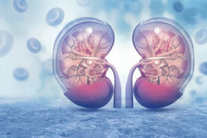 Vazopressin Hormonunun Özellikleri ve Etkileri