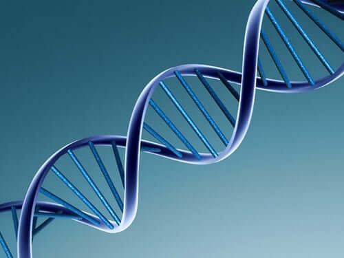 DNA sarmalı illüstrasyonu.