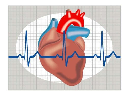kalp grafisi