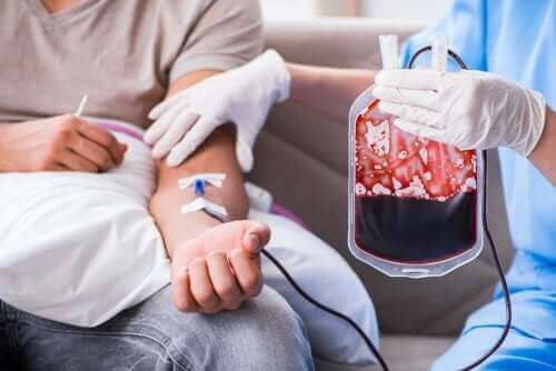 Kan Transfüzyonları – Amaçları ve Prosedürleri