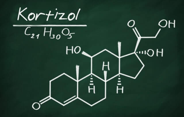 Kortikotropin hormonu ve kortizol