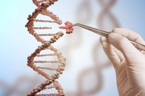 DNA dizilim parça 