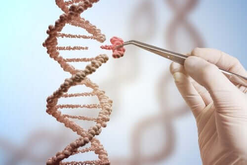 DNA dizilim parça