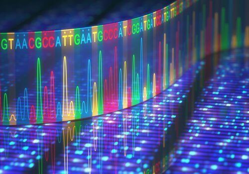 DNA renkli iç yapı