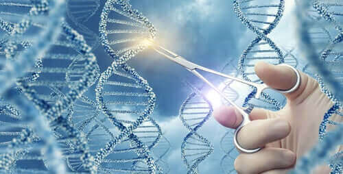 Gen Mutasyonları Hakkında Bilmeniz Gerekenler