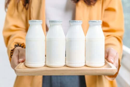 Tam Yağlı Süt Ürünleri Mi Az Yağlı Süt Ürünleri Mi?