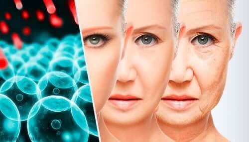 yaşlanma süreci gen