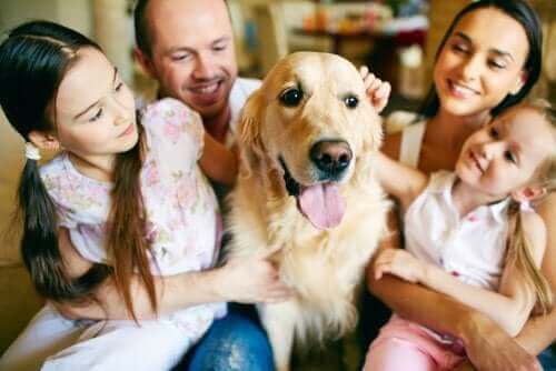 Köpeklerine sarılmış bir aile.