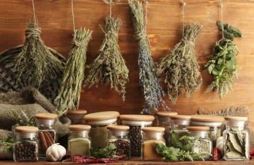Bir dizi kurutulmuş aromatik bitki.