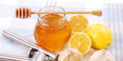 limonun özellikleri
