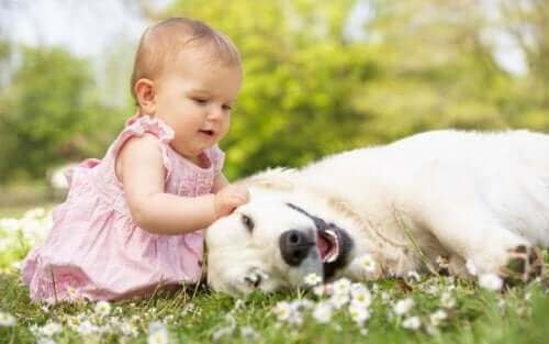 Bir köpeği seven bir bebek.