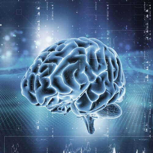 opioid bağımlılığı beyin resmi