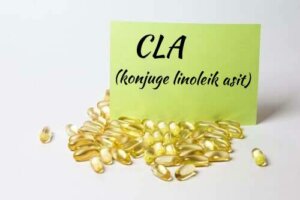 Konjuge Linoleik Asit ve Sağlığa Faydaları