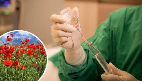 Opiod ilaçlar üzerinde çalışan laborant.