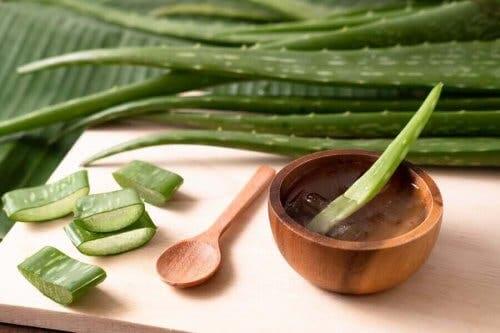 aloe vera jeli
