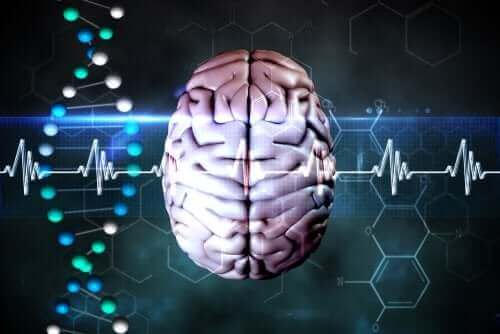 serebral herniasyon semptomları