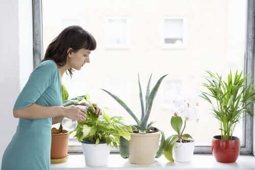 Bitkilerini sulayan bir kadın.