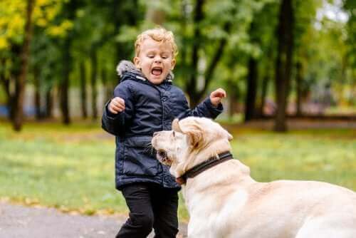 Köpekten korkan bir çocuk.