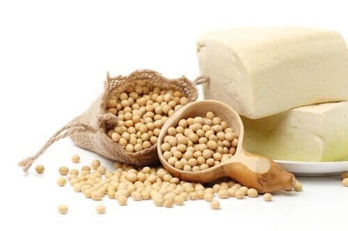 soya proteini özellikleri