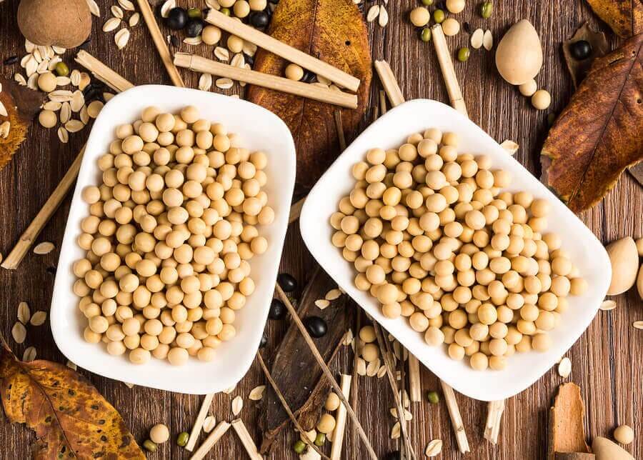 Soya Proteini: Sağlığınız İçin İyi mi Kötü mü?