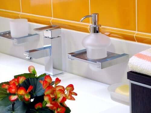 Begonya banyonuza canlılık katacak.