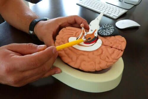 Parkinson hastalığının beyin üzerindeki etkilerini gösteren bir kişi.