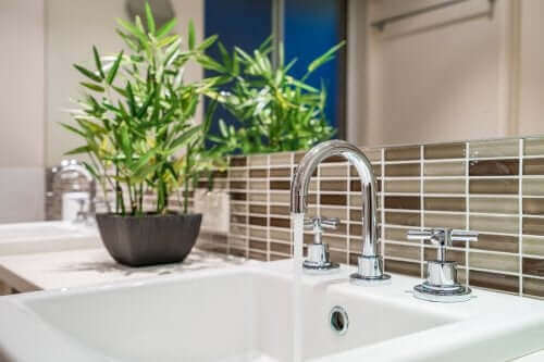 Nemli ortamları sevdiğinden banyonuzda bambu kullanmak iyi bir fikirdir.