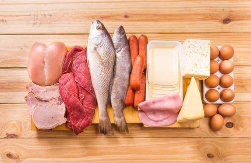 Protein bakımından zengin bir dizi gıda.