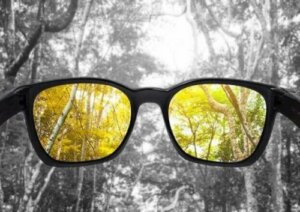 Kötü Ya Da Yetersiz Renk Görme Nedenleri