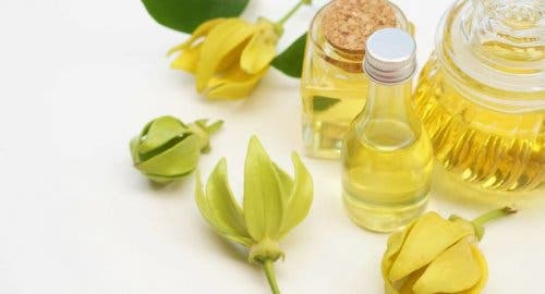 Ylang ylang uçucu yağı.