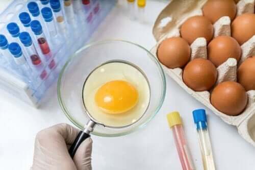 Bir yumurtaya büyüteçle bakan bir laboratuvar görevlisi.
