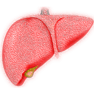Dünya Hepatit Günü: Bu Hastalık Önlenebilir
