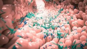 Normal Mikrobiyota Nedir?