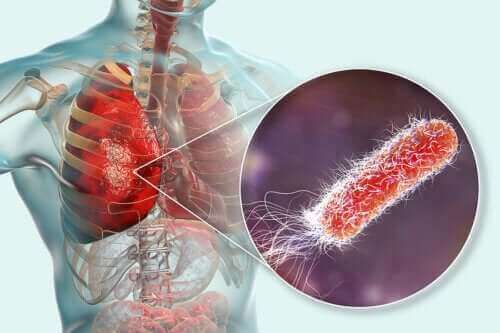 Akciğerlerde Bakteri Var Mıdır?