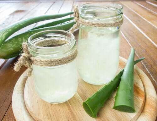 Aloe veralı bir içecek ve aloe vera yaprakları.