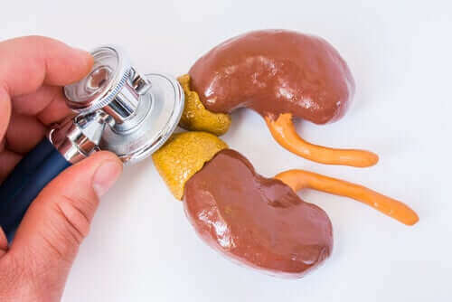 Stetoskop ile böbrek bezlerini dinleyen bir kişi.