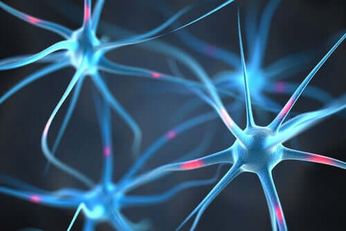 nörogenez bağlantı