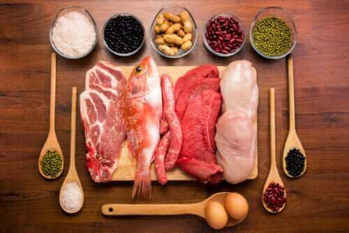 Proteinler: Vücuttaki Fonksiyonlarıyla İlgili Her Şey