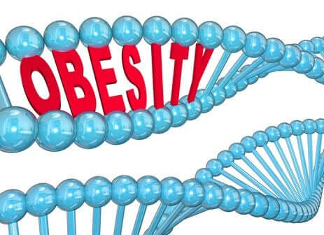 Bilime Göre Obezite Geni