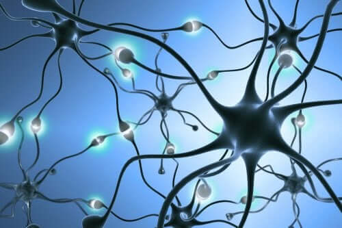 Nörogenez: Yeni Nöronlar Nasıl Üretilir?