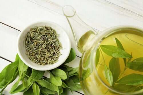 Yeşil Çay Yaşam Süresini Arttırır, Biliyor Muydunuz?