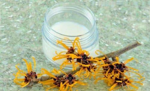 kaşıntıyı azaltan bitki olarak cadı-fındığı-hamamelis