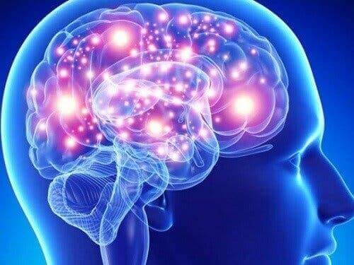 Multipl sistem atrofisi yaşayan bir kişinin beyninin bir illüstrasyonu.