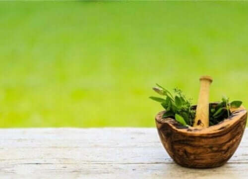 İçinde bitkiler olan bir havan ve tokmağı.