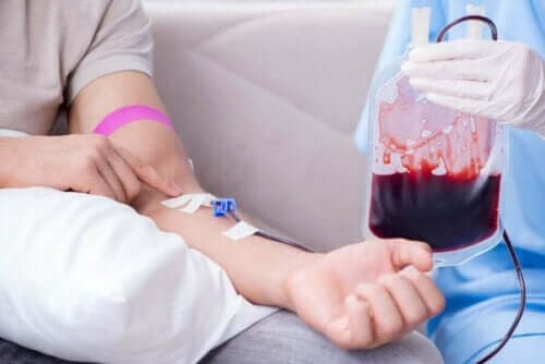 Kan bağışı yapan donör