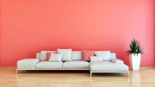 Mercan rengi boyanmış bir oda.