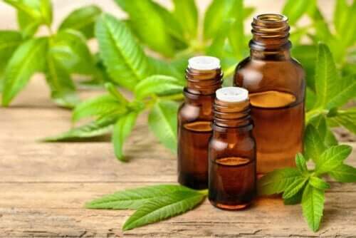 Mine çiçeğinin yağını içeren şişeler.