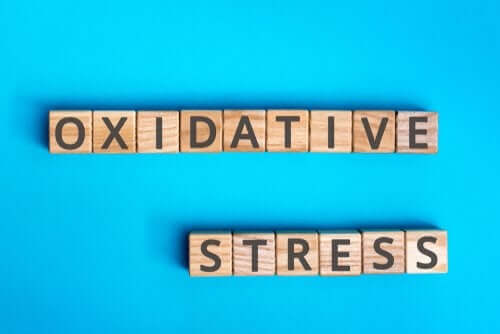 Oksidatif Stres Nelerden Oluşur?