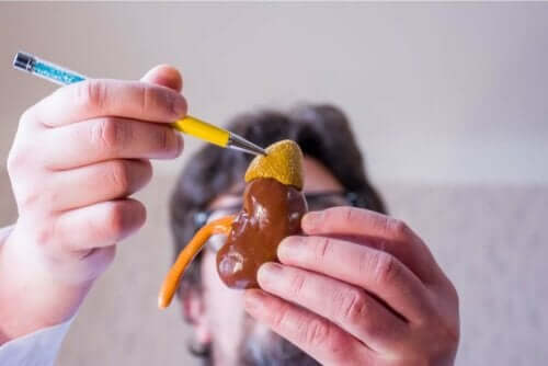 Bir organı gösteren bir doktor.